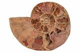 Crystal Filled, Cut & Polished Ammonite Fossil - Jurassic #191043-2
